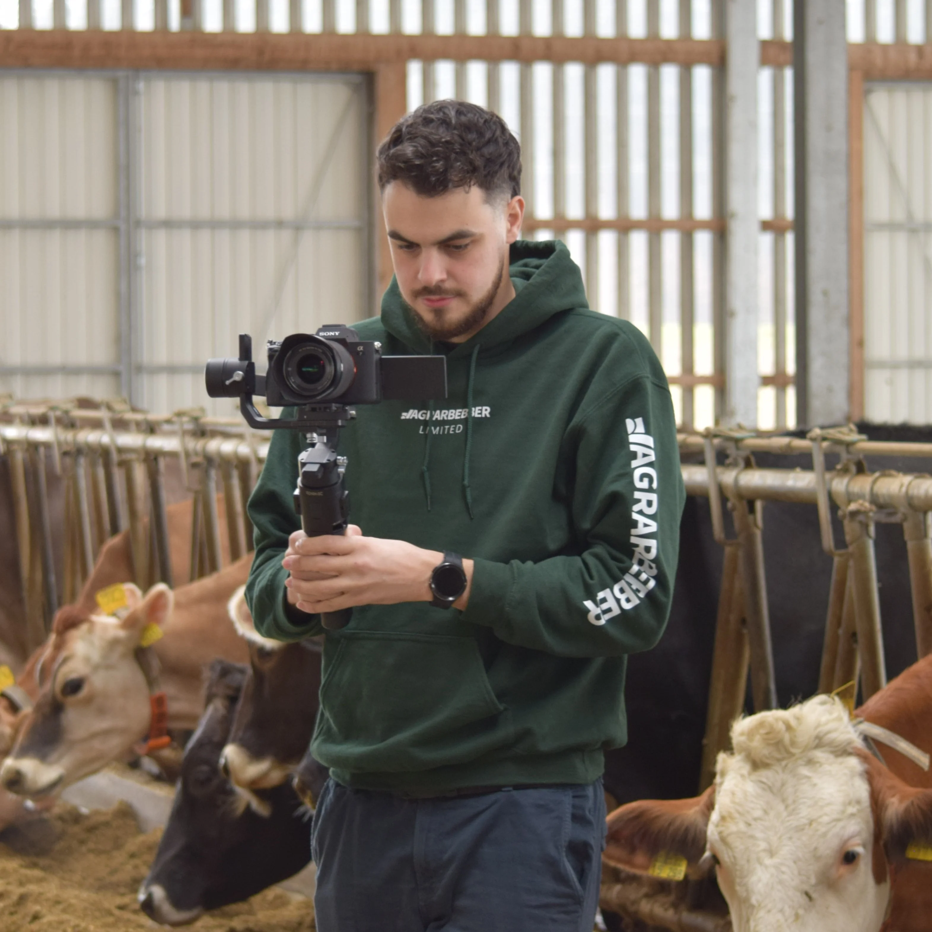 Videografie